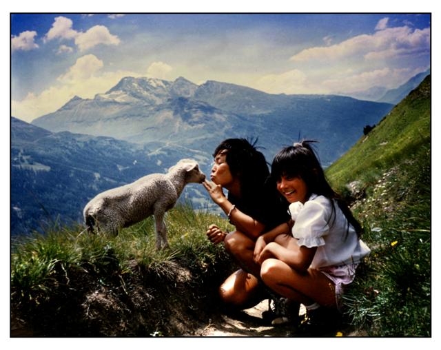 mouton bisou 1.jpg kim (Small).jpg